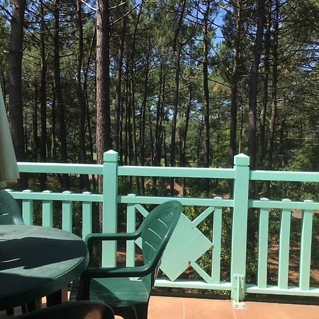 Apt T2 Calme Sur Golf, Piscine, Ocean 10 Min En Velo Lacanau Esterno foto